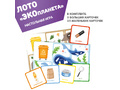 Лото "ЭКОпланета" 2в1