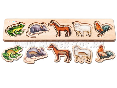 Рамки-вкладыши "Мои первые звукоподражания - 2" (лягушка, мышка, лошадка, овечка, петух)