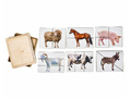 Разрезные картинки "Домашние животные"