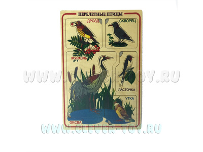 Рамки-вкладыши художественные "Перелетные птицы"