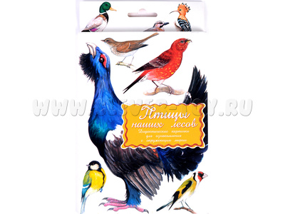 Дидактические карточки "Птицы наших лесов"