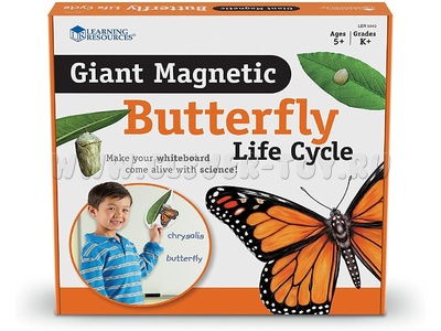 Набор магнитный "Жизненный цикл бабочки" (9 элементов)