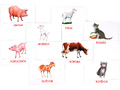 Дидактические карточки "Домашние животные"