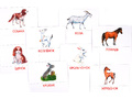 Дидактические карточки "Домашние животные"