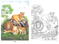 Раскраска Животные (5 раскрасок)
