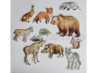 Набор "Животные леса" 10 штук