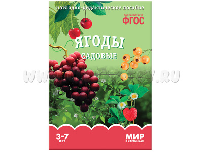 Ягоды садовые. (Серия: Мир в картинках) ФГОС