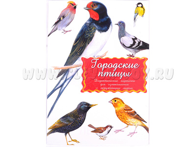 Дидактические карточки "Городские птицы" (в плёнке) (остатки)