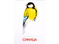 Дидактические карточки "Городские птицы" (в плёнке) (остатки)