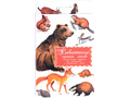 Дидактические карточки "Животные наших лесов"