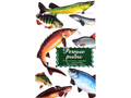 Дидактические карточки "Речные рыбы"