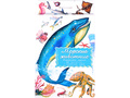 Дидактические карточки "Морские животные"