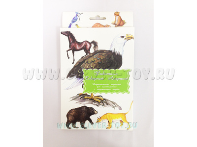Дидактические карточки "Животные Северной Америки"