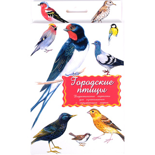 Дидактические карточки "Городские птицы"
