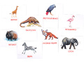 Дидактические карточки "Животные Африки"