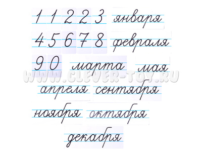 Набор магнитных карточек "Числительные" (цифры) и "Месяцы" (фон белый)