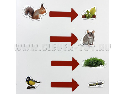 Набор магнитных карточек Что едят лесные животные (к плакату Лес, тема 4)