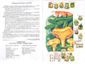 Методическое пособие "Съедобные грибы" (дидактический материал)