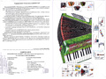Методическое пособие "Музыкальные инструменты клавишные и электронные" (дидактический материал)