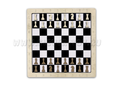 Настенная игра 2 в 1 "Шашки + Шахматы" (70*70см)