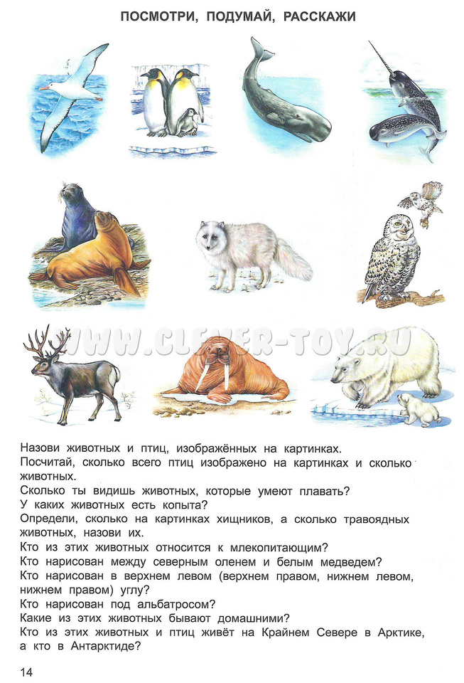 Тетрадь для общения и развития детей Животные Арктики и Антарктиды  СФ-Т-17 в Москве|CLEVER-TOY.RU
