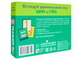 Развитие через игру. Цифры (Игровой набор карточек) Метод Монтессори