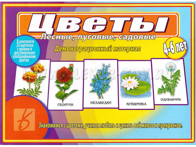 Демонстрационный материал "Цветы" (остатки)