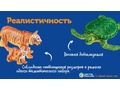 Игровой комплект "Большие игровые фигурки животных" (для группы, 52 фигурки)