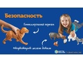 Игровой комплект "Большие игровые фигурки животных" (для группы, 52 фигурки)