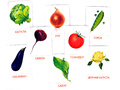 Дидактические карточки "Овощи" (в плёнке)