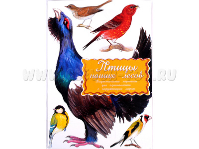 Дидактические карточки "Птицы наших лесов" (в плёнке)