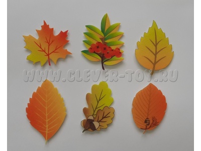 Набор "Листья" 6 штук