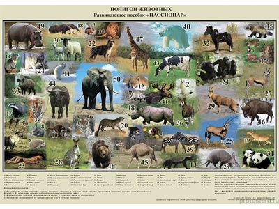 Полигон животных