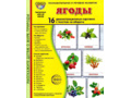 Демонстрационные картинки СУПЕР. Ягоды (16 шт.) в папке