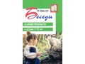 Беседы о нравственности с детьми 5-12 лет
