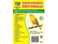 Раздаточные карточки СУПЕР Домашние питомцы (16 шт.)