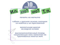 Набор магнитных карточек "Падежи" (фон зелёный)*