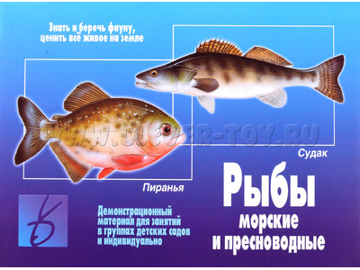 Демонстрационный материал "Рыбы морские и пресноводные" (остатки)