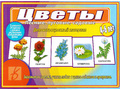 Демонстрационный материал "Цветы" (остатки)