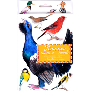 Дидактические карточки "Птицы наших лесов"