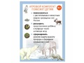 Настольная игра Путешествие по России утки Руси