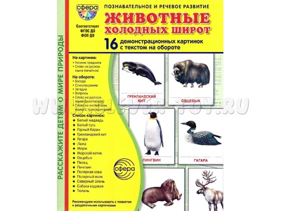 Демонстрационные картинки СУПЕР. Животные холодных широт (16 шт.) НОВЫЕ