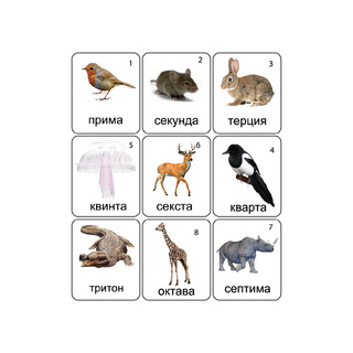 Магнитные карточки Животные (Интервалы)