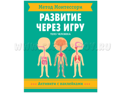 Развитие через игру. Тело человека (Активити с наклейками) Метод Монтессори