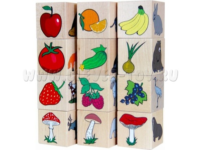 Набор деревянный "Окружающий мир" (остатки)