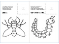 Раскраска с наклейками. Насекомые.