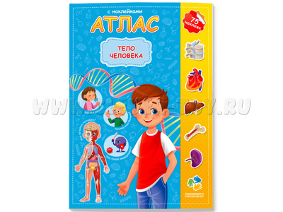 Атлас с наклейками "Тело человека"